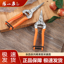 Zhang Koizumi to remove fruit theorizer pruning twigs scissors cutting grapes special scissors branches and leaves for scissors to remove fruit 790