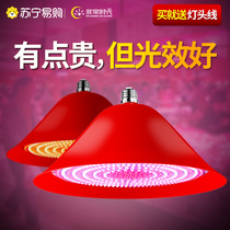 Very time 842led raw fresh light pork lamp cooked food restaurant special vegetable cold seafood supermarket fruit to sell halibut