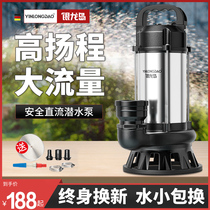 Brushless DC submersible submersible high-power electric water pump 48v60v72v electric car water pump Silver Dragon Island 1606
