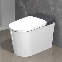 Rellit Honourable Grey Smart Toilet Integrated A6plus fully automatic clamshell i.e. hot electric toilet 2899