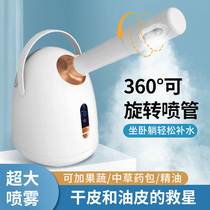 Steamed Face hot and cold double spray Beauty salon Essential Oils FRUITS AND VEGETABLES FACE ADD WET NEBULIZER HOME WATER REPLENISHING INSTRUMENT 738A