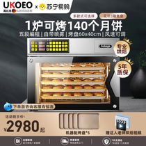 UKOEO High Biker Oven Large Home Commercial Electric Oven Wind Stove Flat Furnace Large Capacity Baking Cake 1222