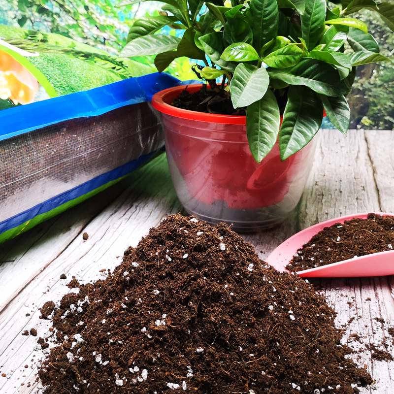 花泥营养土花土壤种植土种菜绿萝兰花多肉植物专用泥土盆栽通用型-图1