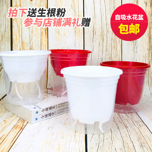 懒人花盆自动吸水垂吊高款圆形塑料加厚透明储水培绿萝吊兰养花盆 - 图1