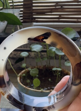 花语玉髓 天然海洋玉髓马料水墨泼墨黑花玛瑙手镯圈口60mm