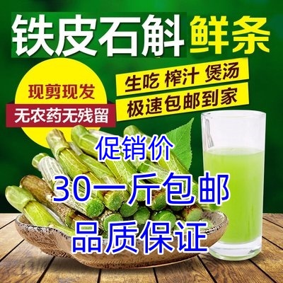 5年铁皮石斛胶质多非霍山鲜条现摘榨汁煲汤泡水新鲜产地养生石斛