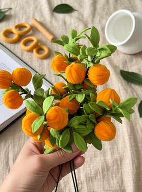 扭扭棒大橘子手工材料包diy创意