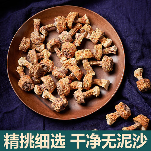新货姬松茸干货云南特产精选非特级无硫松茸菌巴西菇蘑菇菌菇250g - 图0