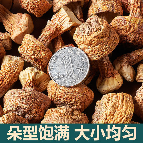 新货姬松茸干货云南特产精选非特级无硫松茸菌巴西菇蘑菇菌菇250g - 图1