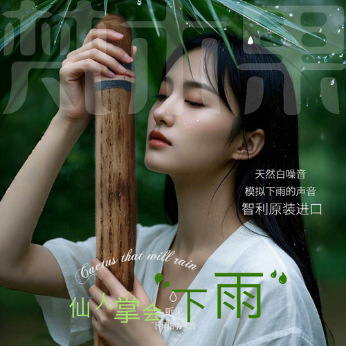 梵木果雨棍南美智利仙人掌雨棒雨声模拟冥想白噪音音疗小众乐器 - 图1