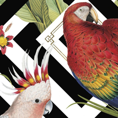 英国原装正品进口墙纸 Geometric Aviary 现代美式蜂鸟火烈鸟壁纸 - 图1