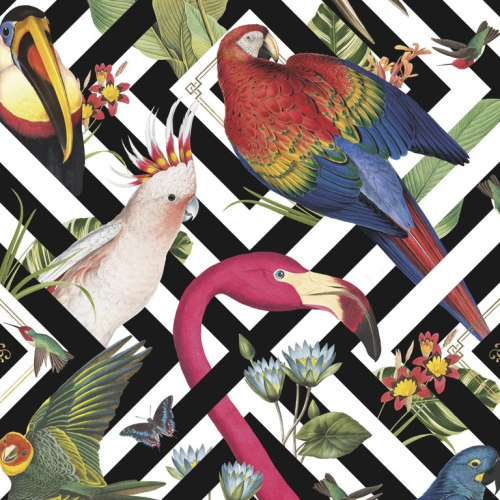 英国原装正品进口墙纸 Geometric Aviary 现代美式蜂鸟火烈鸟壁纸 - 图0