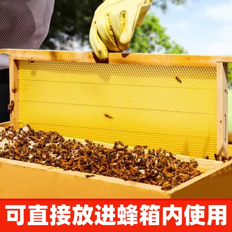 意蜂巢础巢框成品蜂巢全套养蜂工具蜜蜂蜂箱巢脾洋蜂带框巢础蜂具 - 图2