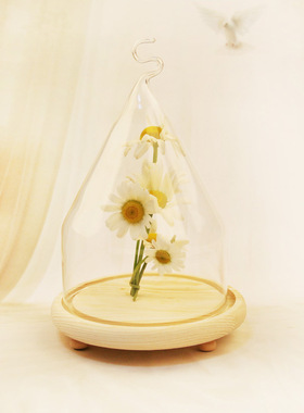 创意透明微景观摆件玻璃罩子