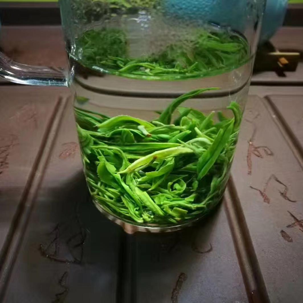 沅陵碣滩茶 2024年新茶潇湘茶云雾绿茶官庄干发绿茶王200g-图2