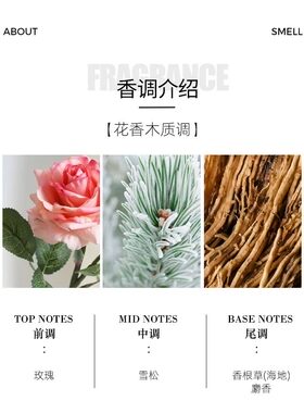 迪凯珑静谧森林香水男女士适用持久淡香清新留香花香香型