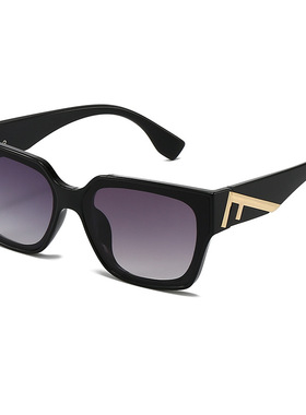 retromenpolarizedsun