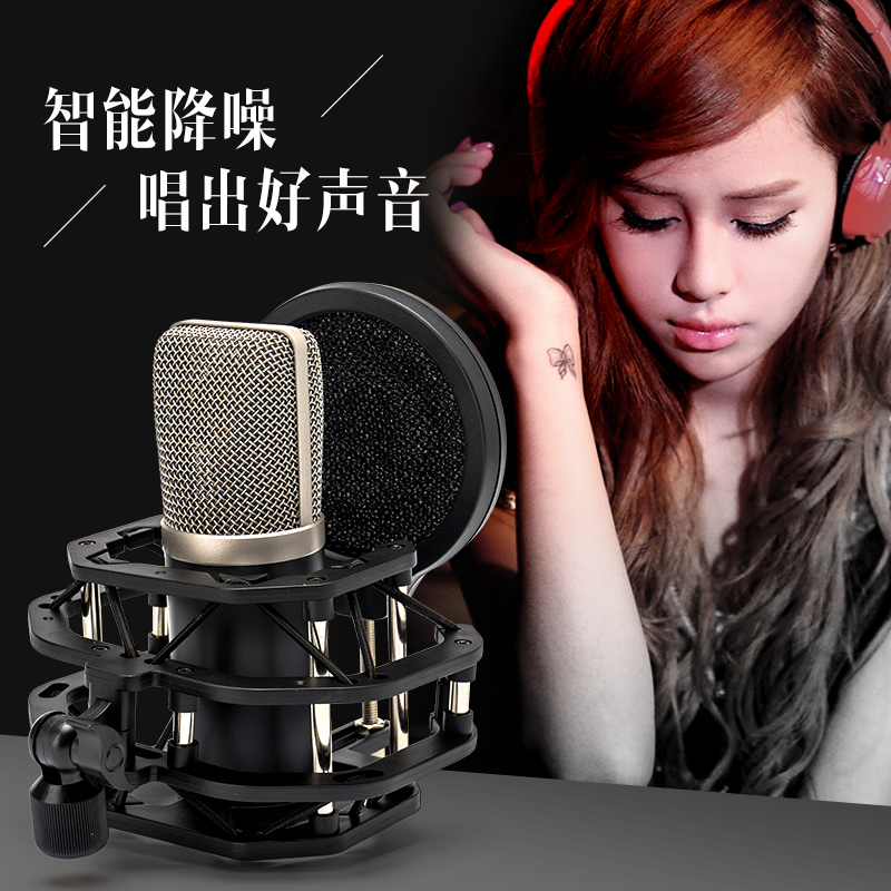 797 Audio M3 M5大振膜专业录音直播K歌 吉他录音配音直播电容麦 - 图2