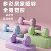 Dumbbell ladies fitness equipment home barbell kettlebell