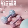 Dumbbell ladies fitness equipment home barbell kettlebell