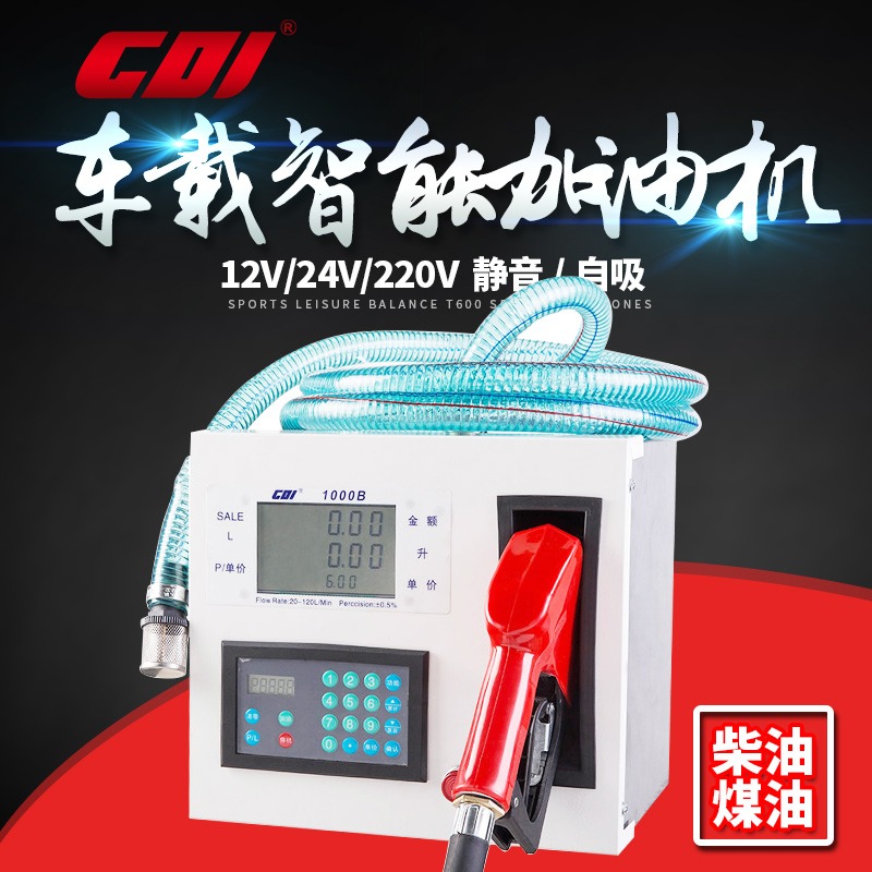 全自动小型车载12V24V220V柴油加油机静音大流量煤油加油设备 - 图1