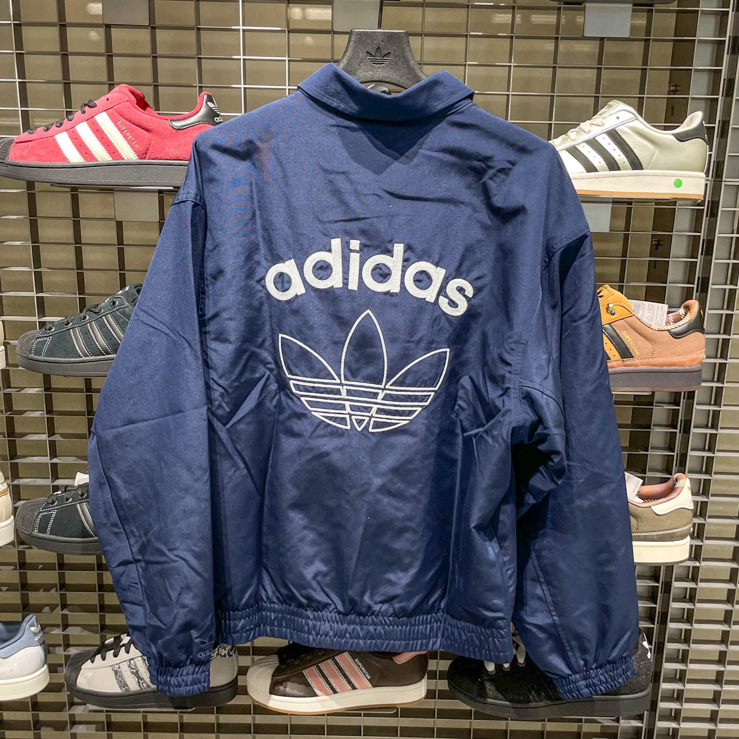 图 3