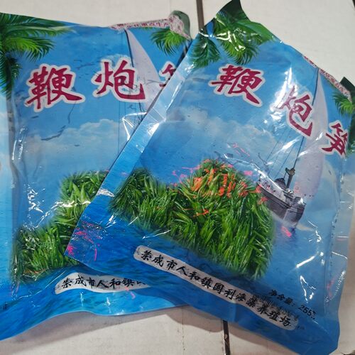 鞭炮笋新鲜马尾藻长寿菜羊栖菜海草火锅串串凉拌菜5包装每包250克 - 图0
