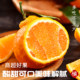 Supermarket quality Sichuan Shiranui Ugly Oranges in stock