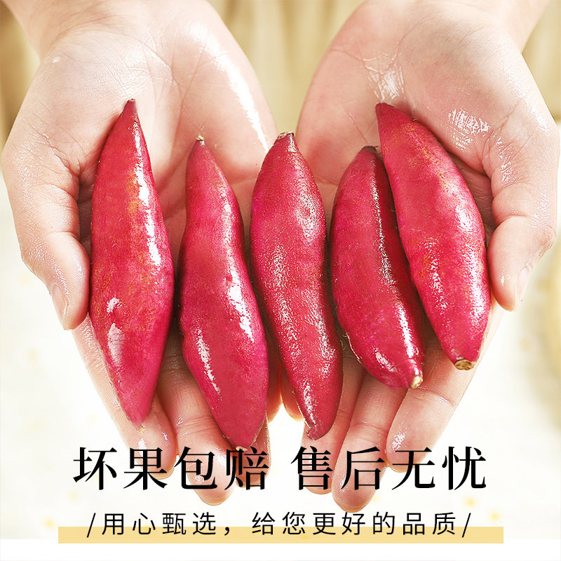 临安天目山小香薯小番薯地瓜蜜薯新鲜农家自种正宗板栗红薯