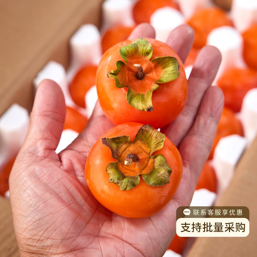 图 5