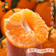 Authentic Sichuan Chunjian mandarin oranges丨Big sweet fruit!