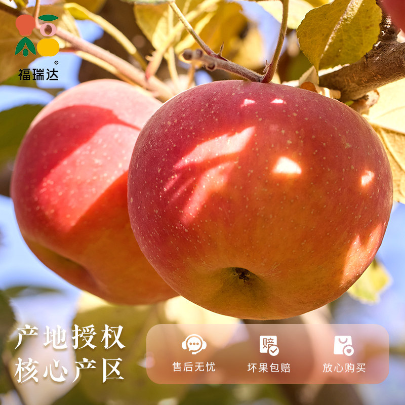 图 5