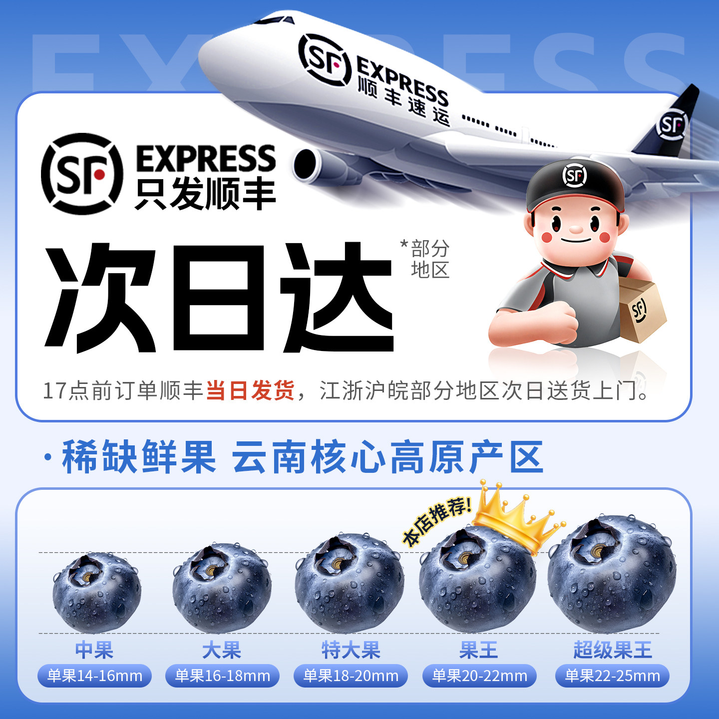 云南蓝莓新鲜水果当季蓝梅鲜果现摘高山怡颗孕妇大果整箱顺丰包邮,淘宝优惠券,粉丝福利购,淘宝优惠卷