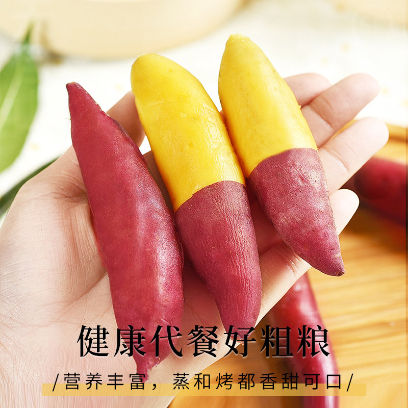 临安天目山小香薯小番薯地瓜蜜薯新鲜农家自种正宗板栗红薯