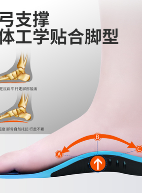 成人扁平足专用矫正鞋垫足弓支撑足外翻内八字横弓塌陷矫形器防滑