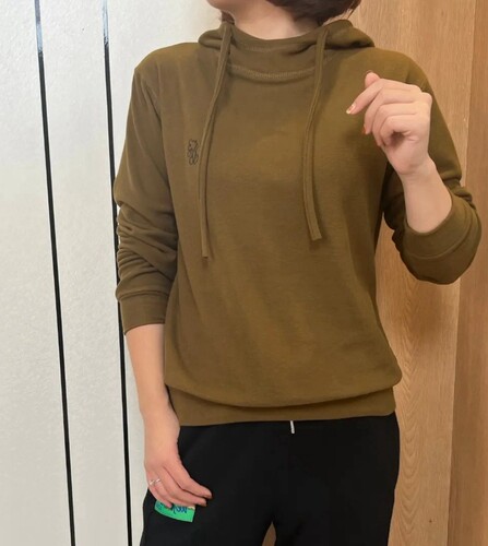 双面德绒内搭卫衣女2025冬装新品百搭神器帽衫加厚保暖连帽打底衫 - 图0