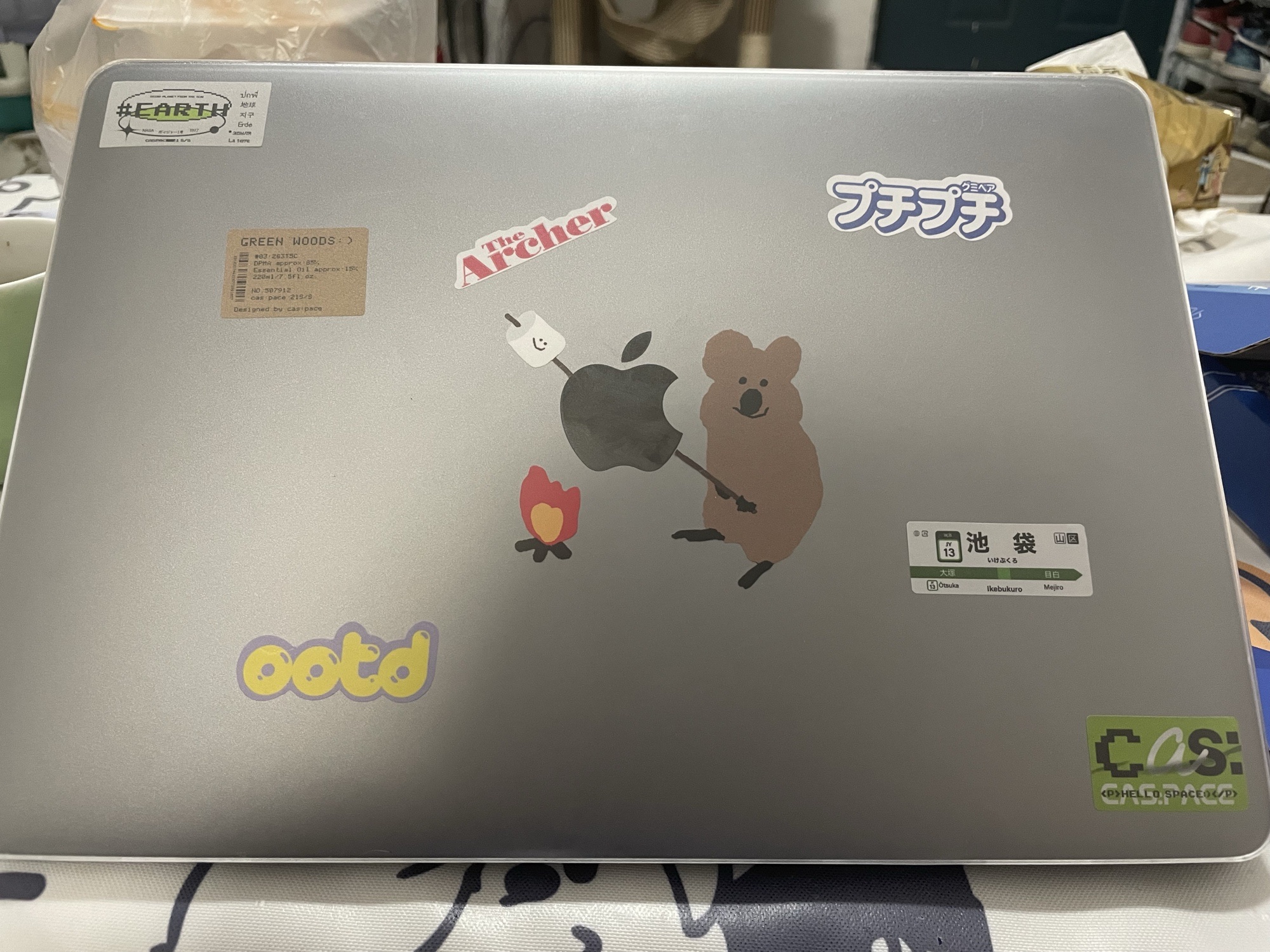 韩国代购柿子椒熊贴纸ipad保护套diy dinotaeng装饰贴画 拼贴素材 - 图1