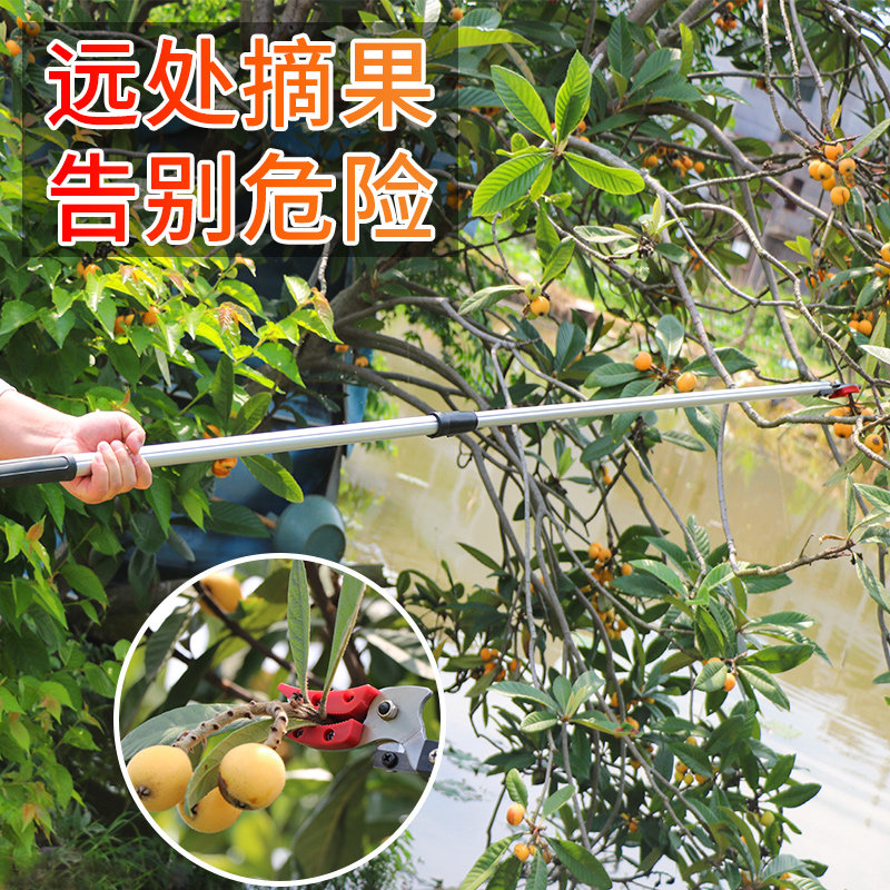 摘果神器高空摘果剪修枝果树剪刀摘果剪高枝锯龙眼剪伸缩桂圆荔枝_虎窝淘