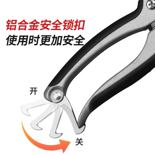 绿苑稀果剪修枝采摘剪火龙果剪刀采果神器园艺修花工具疏果摘果剪 - 图3