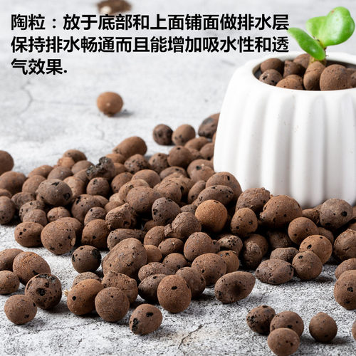 有机营养土泥炭土花肥通用型家用园艺大肥王彩色石头铺面石头陶粒 - 图2