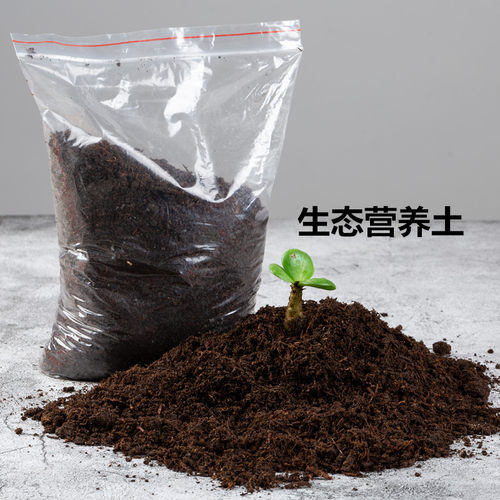 有机营养土泥炭土花肥通用型家用园艺大肥王彩色石头铺面石头陶粒 - 图3