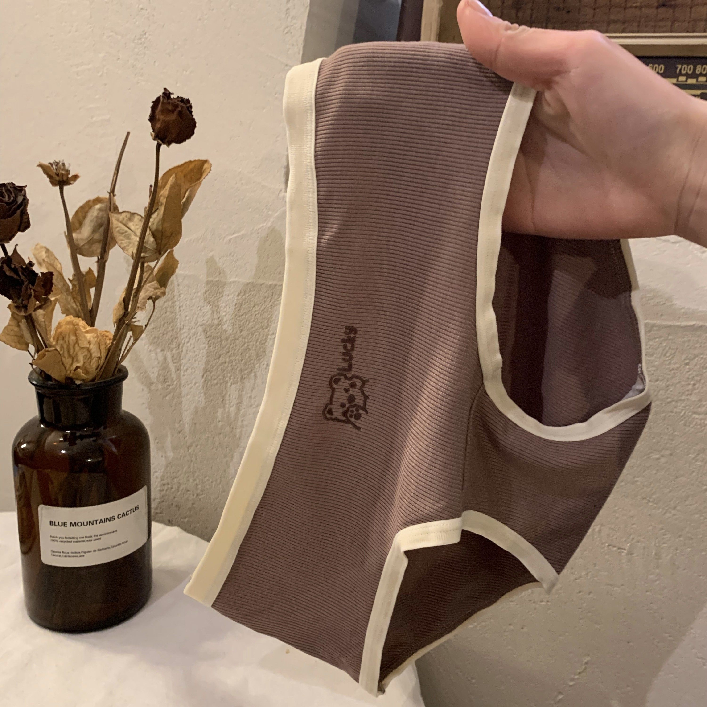 内裤女生纯棉全棉抗菌裆少女短裤女士大码2025新款女式短裤三角裤,淘宝优惠券,粉丝福利购,淘宝优惠卷