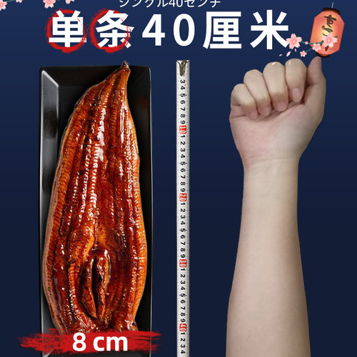 旗舰日式蒲烧鳗鱼加热即食烤鳗鱼饭汁鲜活烤制冷冻整条寿司商用 - 图1