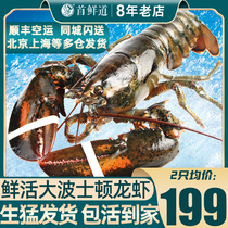 (Kept Alive) Big Dragon Shrimp Fresh giant Boron Boston Lobster Canada Australias Oron Seafood Aquatic Shrimp