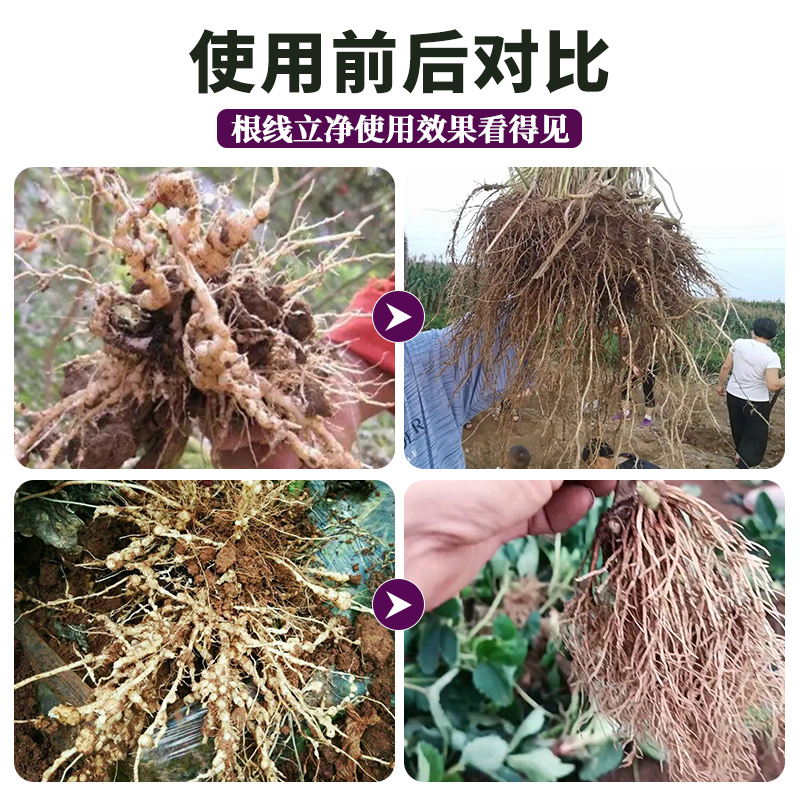 根结线虫专用药果树蔬菜黄瓜辣椒小麦水稻烤烟大棚专用特效线虫药,淘宝优惠券,粉丝福利购,淘宝优惠卷