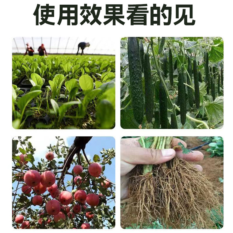 枯草芽孢杆菌农用复合微生物菌剂果树蔬菜微生物菌肥枯草芽孢杆菌,淘宝优惠券,粉丝福利购,淘宝优惠卷
