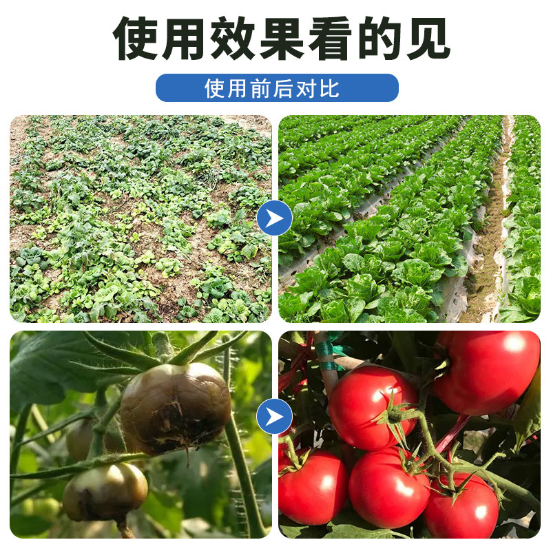 氨基酸水溶肥农用果树蔬菜花卉植物通用型生根壮苗微量元素叶面肥,淘宝优惠券,粉丝福利购,淘宝优惠卷