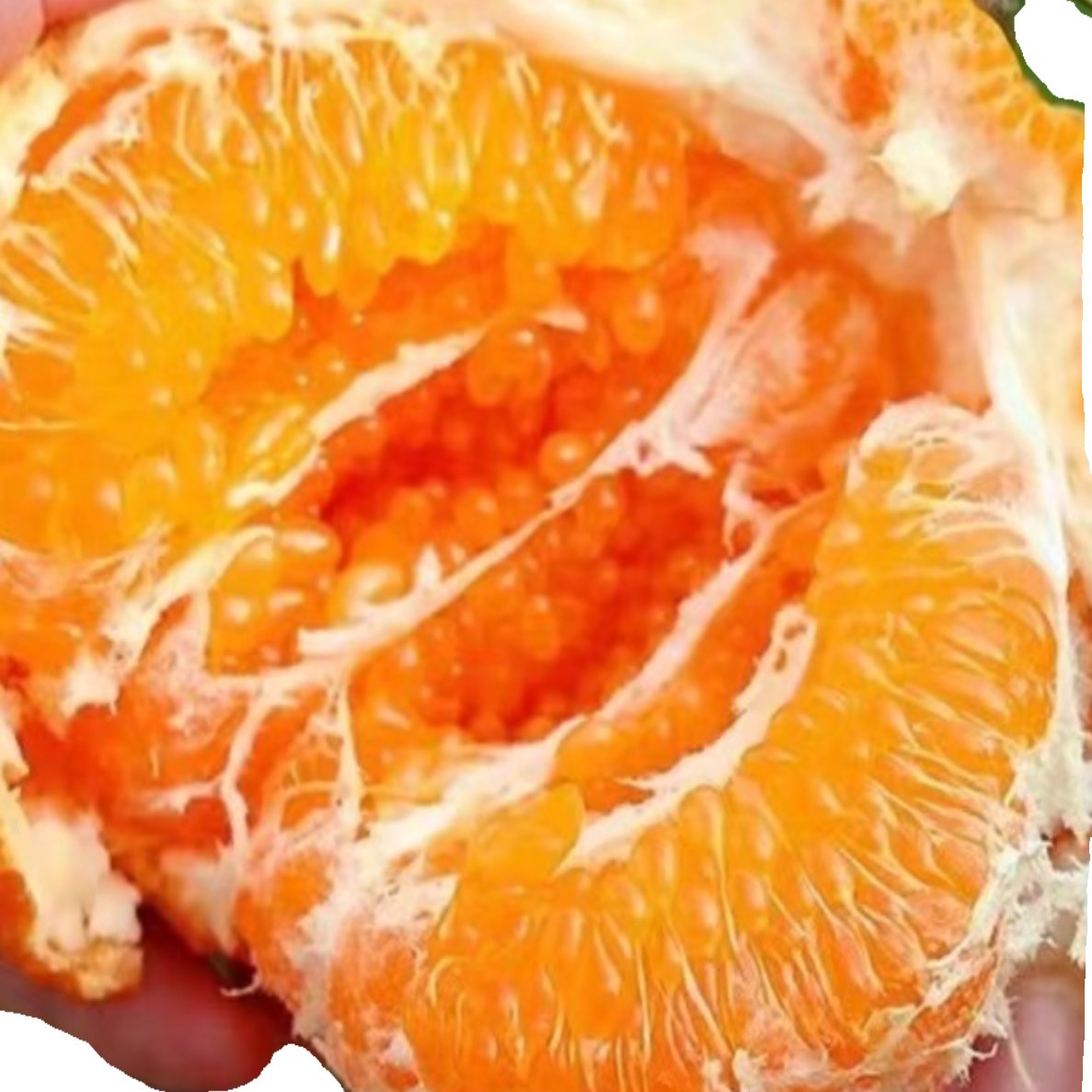 四川眉山春见耙耙柑优质水果现剪当季新鲜水果脆嫩多汁坏果包赔,淘宝优惠券,粉丝福利购,淘宝优惠卷