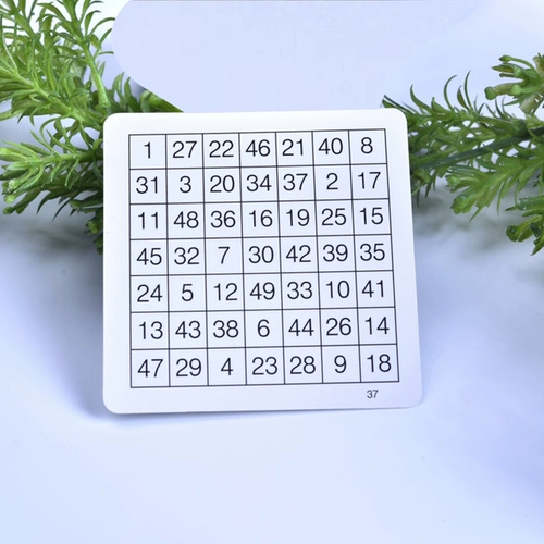 艾学星 Усовершенствованная версия Schultye 36 -Square 49 детей.