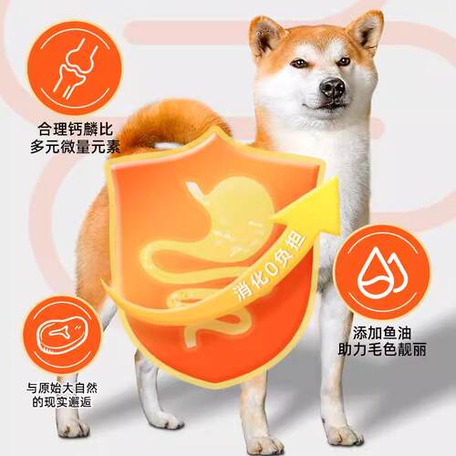 倍内菲狗粮幼犬成犬全期生骨肉冻干鸡肉繁育粮金毛比熊通用大包装 - 图3